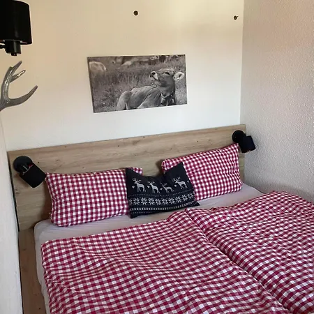 Hoernernest * Bolsterlang