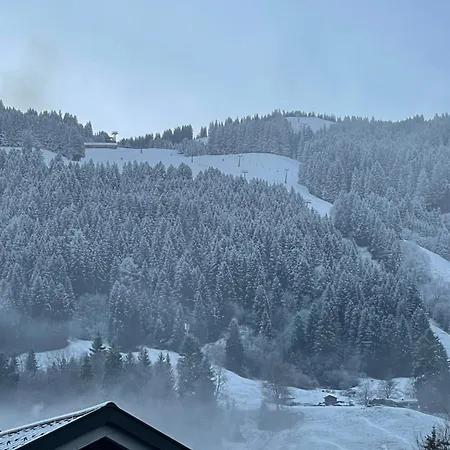 Hoernernest * Bolsterlang