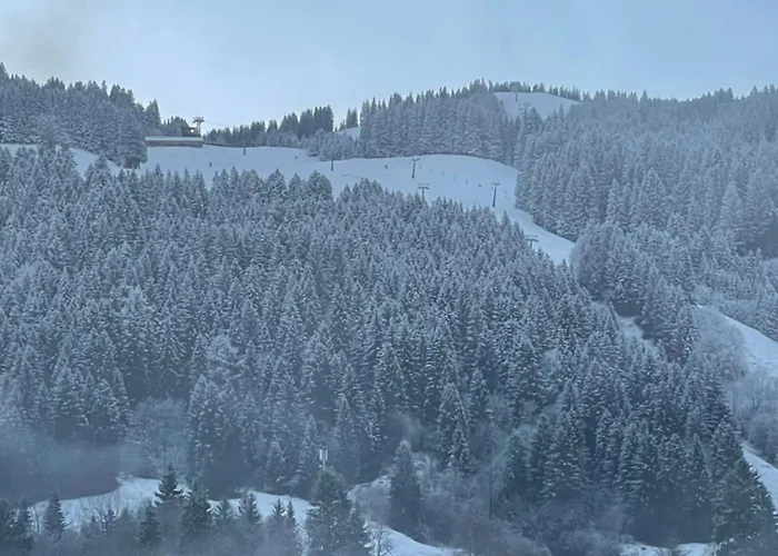 Hoernernest * Bolsterlang